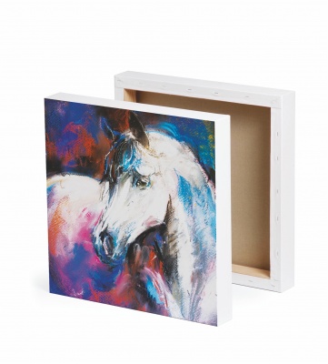 UV Canvas Tablo Baskı